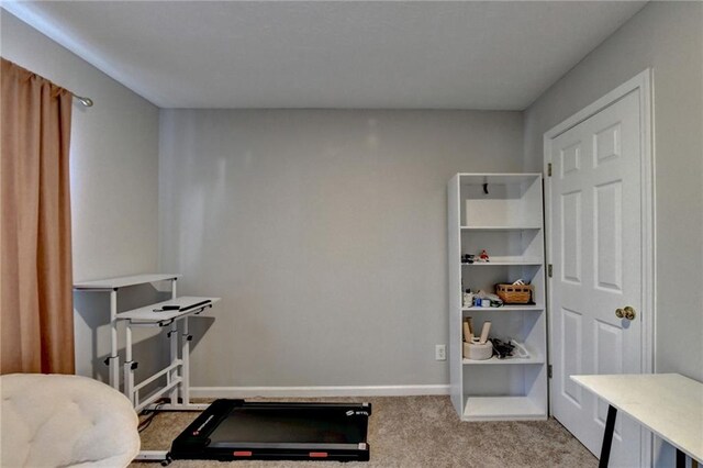 workout room with light colored carpet