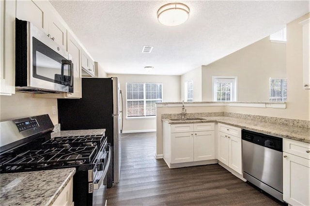 kitchen featuring a sink, dark wood-type flooring, a wealth of natural light, and stainless steel appliances