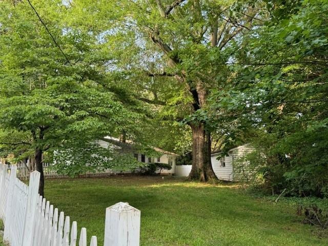 95 Jones St, Dahlonega, GA 30533 - view of yard