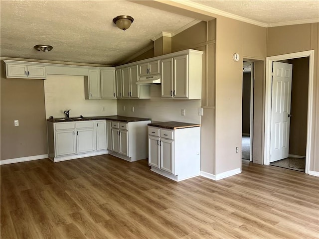 8775 Al Highway 9 Al Highway Unit 9, Cedar Bluff, AL 35959 - kitchen with under cabinet range hood, a textured ceiling, ornamental molding, wood finished floors, and dark countertops