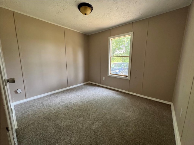 8775 Al Highway 9 Al Highway Unit 9, Cedar Bluff, AL 35959 - spare room with a textured ceiling, carpet floors, and a decorative wall
