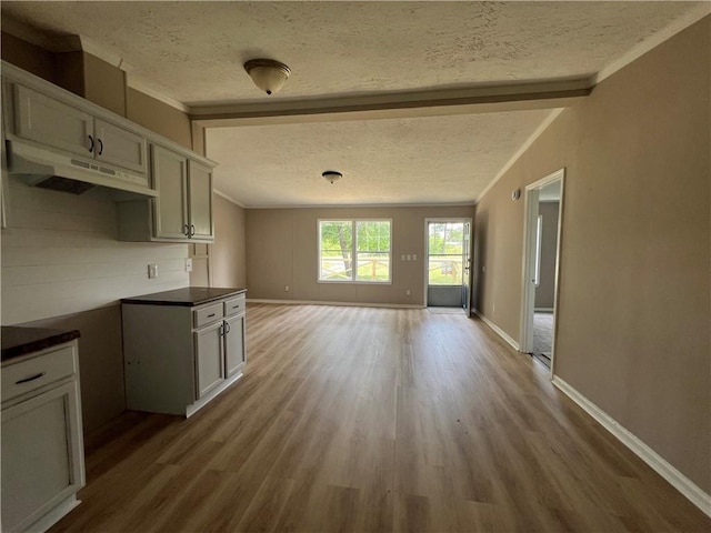 8775 Al Highway 9 Al Highway Unit 9, Cedar Bluff, AL 35959 - kitchen with under cabinet range hood, a textured ceiling, wood finished floors, dark countertops, and open floor plan