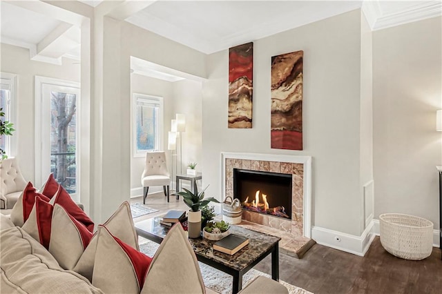 living room with a fireplace, baseboards, and wood finished floors