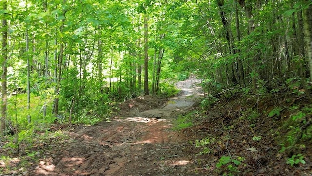 8872 Conners Rd, Villa Rica, GA 30180 - view of wooded area