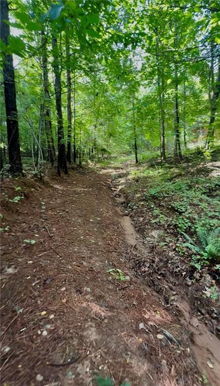 8872 Conners Rd, Villa Rica, GA 30180 - view of wooded area