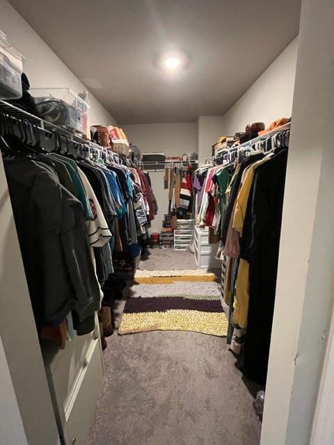 walk in closet featuring carpet floors