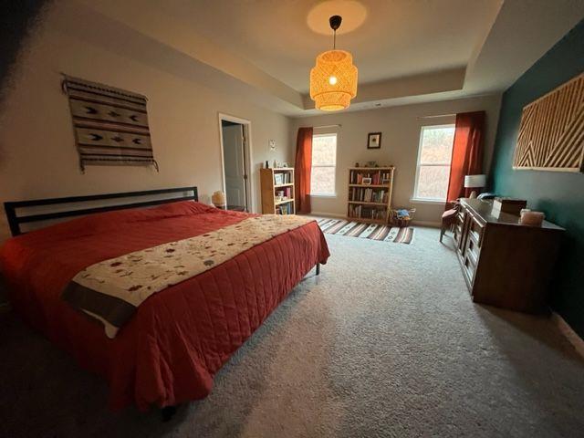 carpeted bedroom featuring a raised ceiling