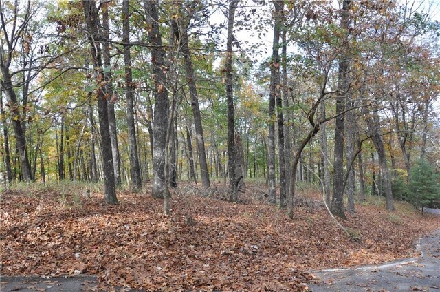3121 Falcon Cir, Big Canoe, GA 30143