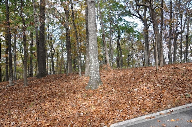 3121 Falcon Cir, Big Canoe, GA 30143