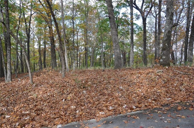 3121 Falcon Cir, Big Canoe, GA 30143