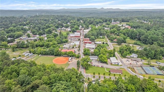 3040 Cypress Cv, Ball Ground, GA 30107 - bird's eye view of a heavily wooded area and a mountain backdrop