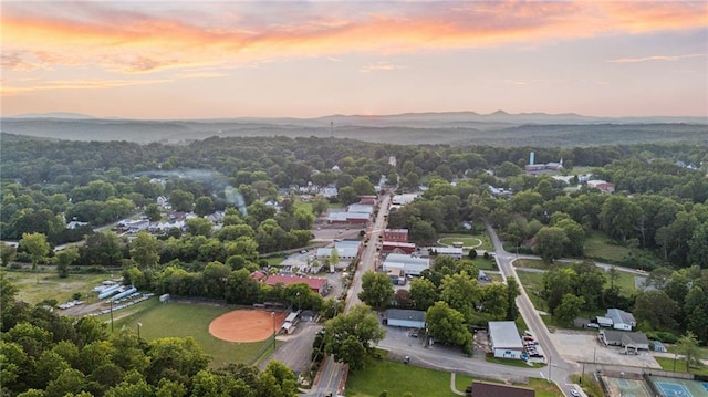 3040 Cypress Cv, Ball Ground, GA 30107 - aerial view at dusk