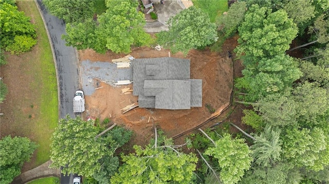 3040 Cypress Cv, Ball Ground, GA 30107 - bird's eye view