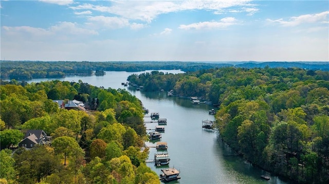 bird's eye view with a water view and a forest view