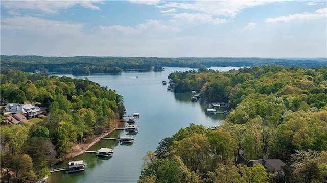 birds eye view of property with a water view and a view of trees