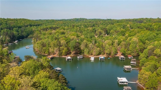 aerial view featuring a water view and a view of trees