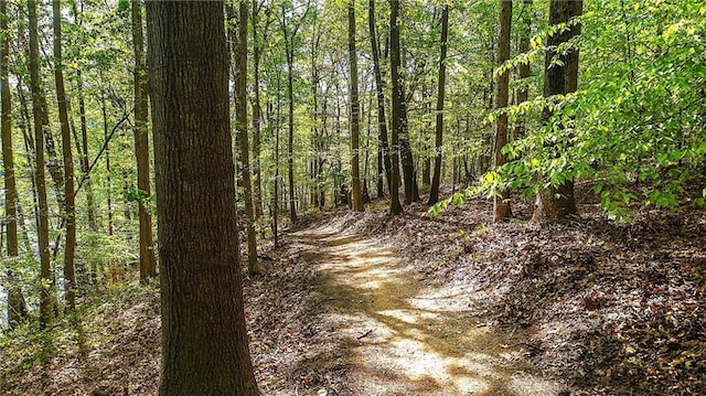 view of nature featuring a forest view