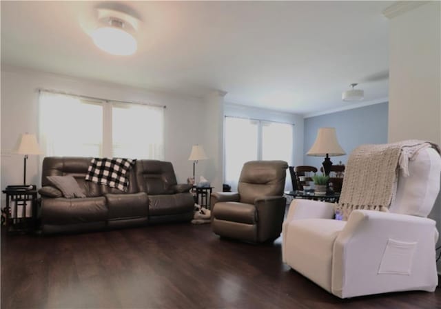 living room with ornamental molding and wood finished floors