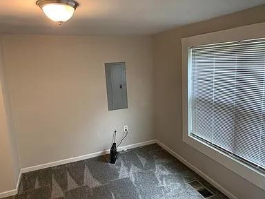 laundry area with electric panel and dark colored carpet