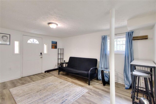 foyer with a textured ceiling, light wood-type flooring, and a healthy amount of sunlight