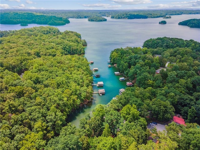 3644 Bert Dr, Gainesville, GA 30506 - bird's eye view of a nearby body of water and a heavily wooded area