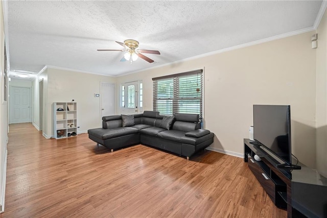 living room with crown molding, light hardwood / wood-style flooring, ceiling fan, and a textured ceiling