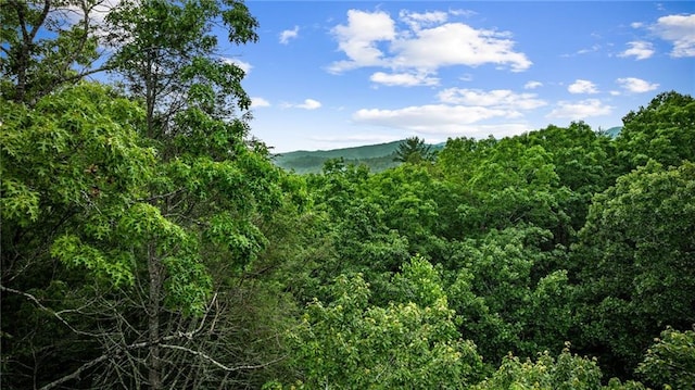 453 Settlers Ridge Rd, Ellijay, GA 30540 - mountain view featuring a heavily wooded area