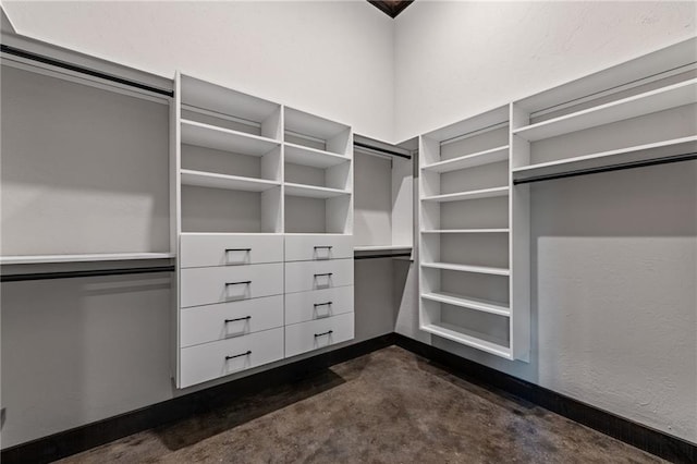 453 Settlers Ridge Rd, Ellijay, GA 30540 - view of walk in closet