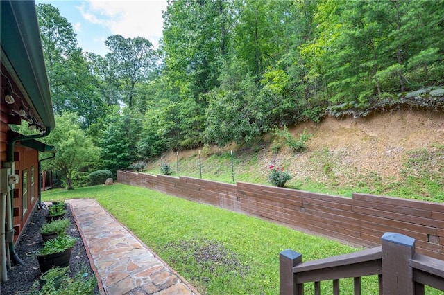 709 Deerfield Ln NW, Sugar Valley, GA 30746 - view of yard