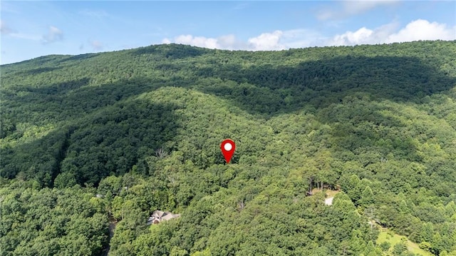 709 Deerfield Ln NW, Sugar Valley, GA 30746 - view of property location with a forest