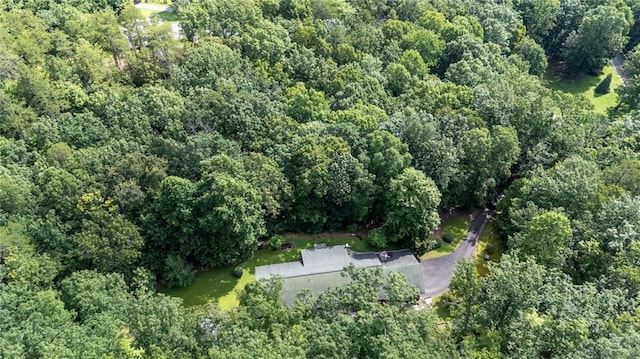 709 Deerfield Ln NW, Sugar Valley, GA 30746 - aerial view of property and surrounding area with a forest