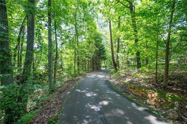 709 Deerfield Ln NW, Sugar Valley, GA 30746 - view of street featuring a forest view