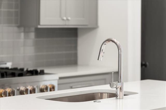 interior details featuring sink and backsplash