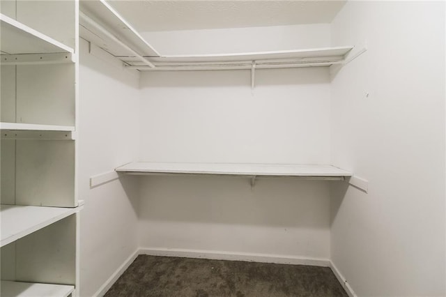 263 Austin Rd, Stockbridge, GA 30281 - spacious closet featuring dark colored carpet