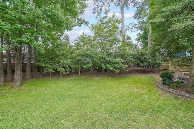 2889 Mount Olive Dr, Decatur, GA 30033 - view of yard