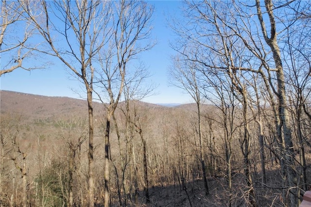 view of mountain feature featuring a wooded view