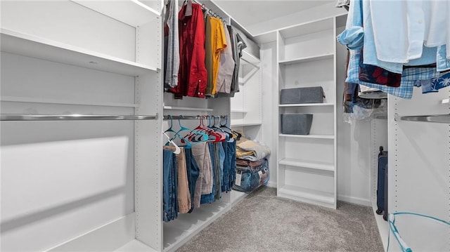 3525 Elder Field Ln, Cumming, GA 30040 - walk in closet with carpet flooring
