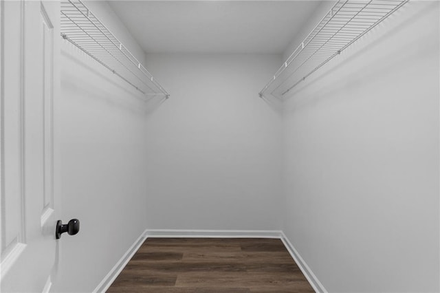 walk in closet featuring dark hardwood / wood-style floors