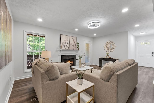 living room featuring dark hardwood / wood-style flooring and a textured ceiling