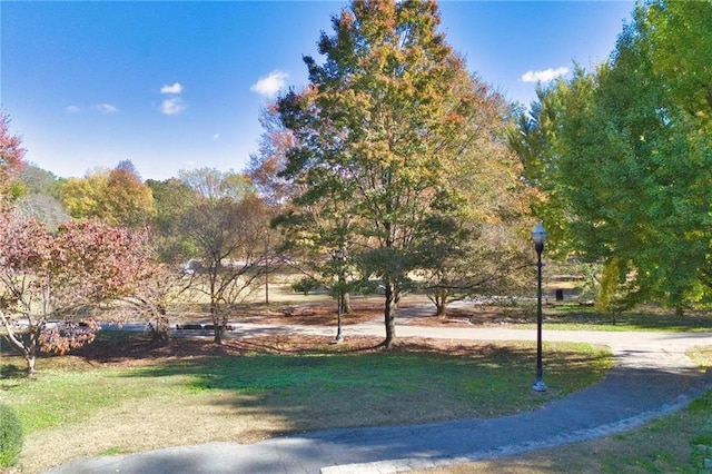 273 12th St NE Unit 421, Atlanta, GA 30309 - view of property's community