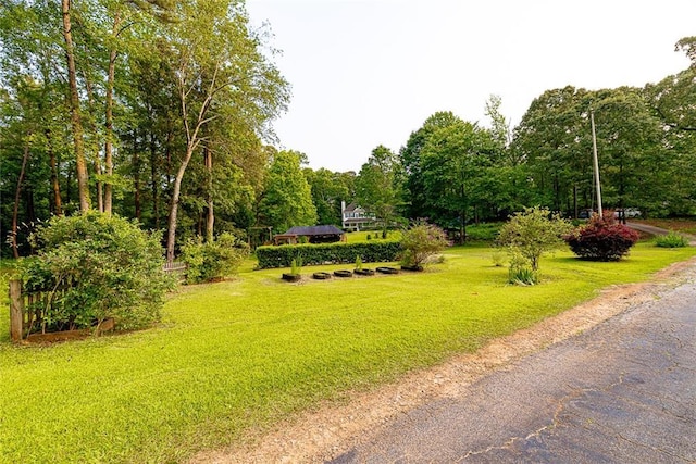 8601 Flint Hill Rd, Douglasville, GA 30135 - view of community featuring a lawn