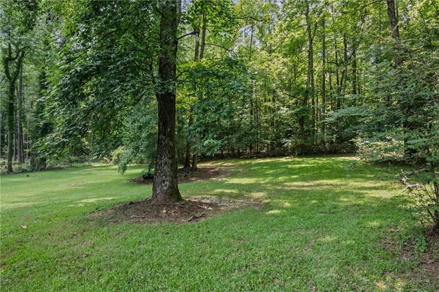 4051 Dixie Ln, Douglasville, GA 30135 - view of green lawn featuring a view of trees