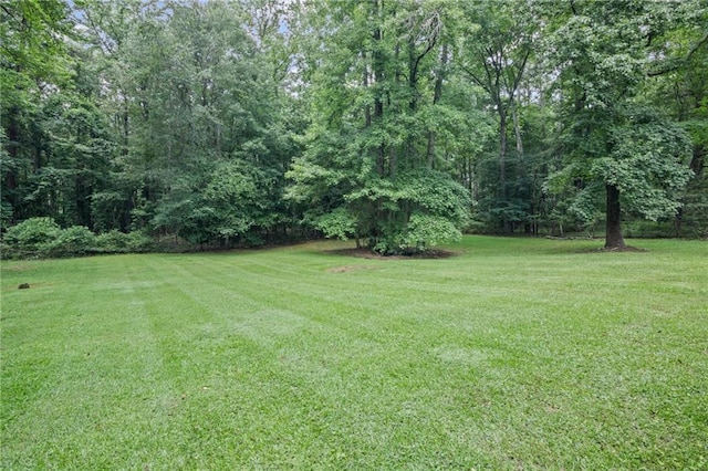 4051 Dixie Ln, Douglasville, GA 30135 - view of grassy yard
