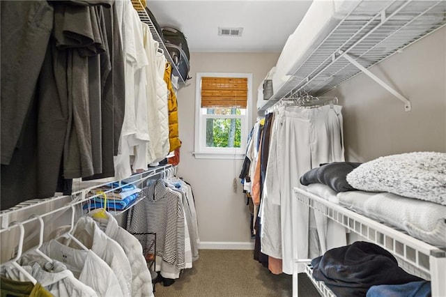 spacious closet featuring carpet