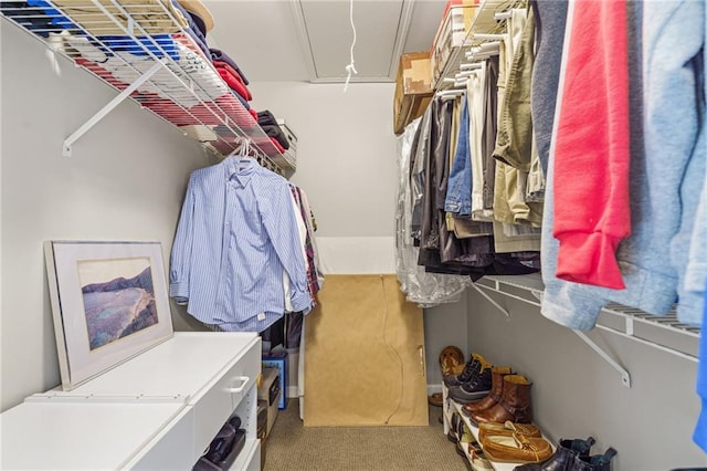 spacious closet with carpet