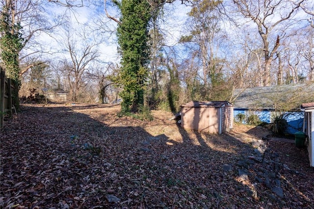 view of yard featuring a storage shed