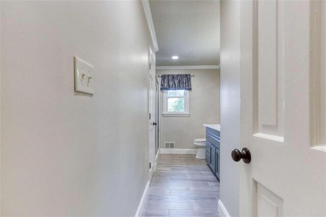 walk in closet featuring carpet flooring