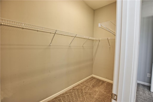 6603 Sterling Dr, Atlanta, GA 30328 - walk in closet featuring carpet flooring