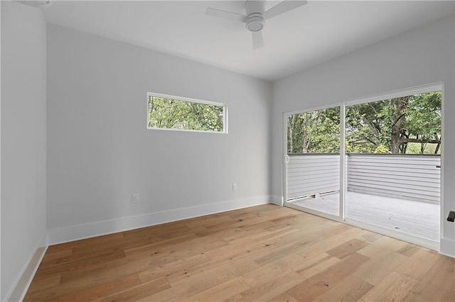 unfurnished room with light hardwood / wood-style floors and ceiling fan