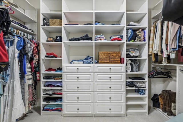 view of spacious closet
